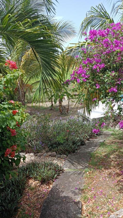 T2 Jardin Clos Les Nids De La Colline Saint-Francois  Zewnętrze zdjęcie